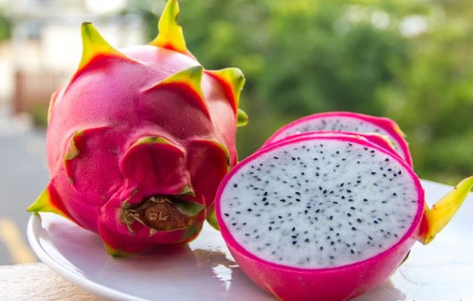 Hylocereus undatus polpa branca, Pitaya,