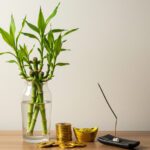 Bambu-da-sorte em vaso de vidro com água ao lado de moedas douradas e incenso aceso, em ambiente claro e calmo