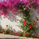 jardim com flores de sol