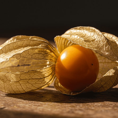 A physalis é envolvida por uma cápsula seca que protege e preserva seus nutrientes.