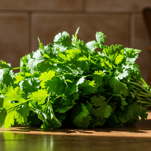 As folhas de coentro são ricas em vitaminas e compostos antioxidantes que ajudam na digestão e na saúde da pele.